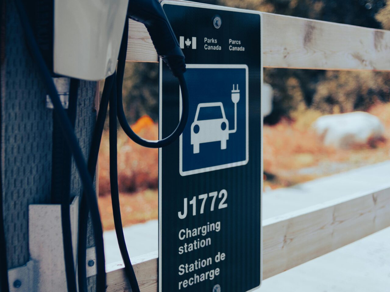 auto elettriche