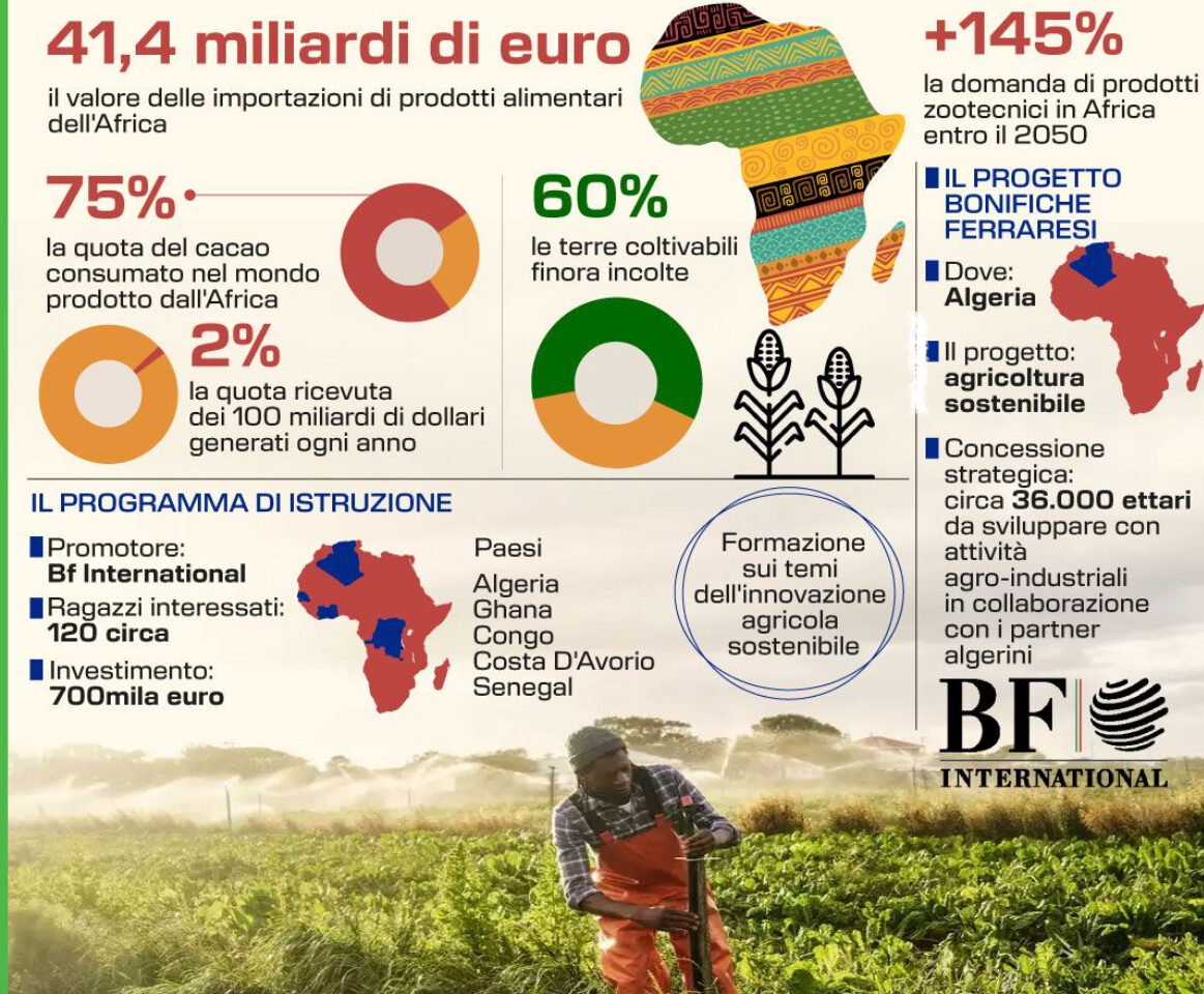 AFRICA E BF